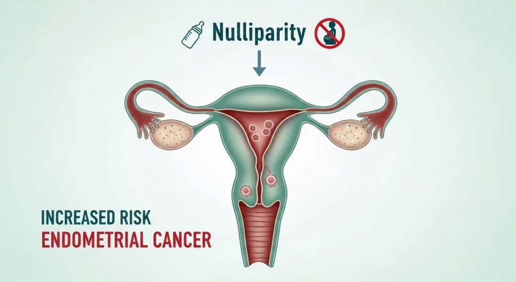 Is Nulliparity a Risk Factor for Endometrial Cancer ? | dr. lucas minig